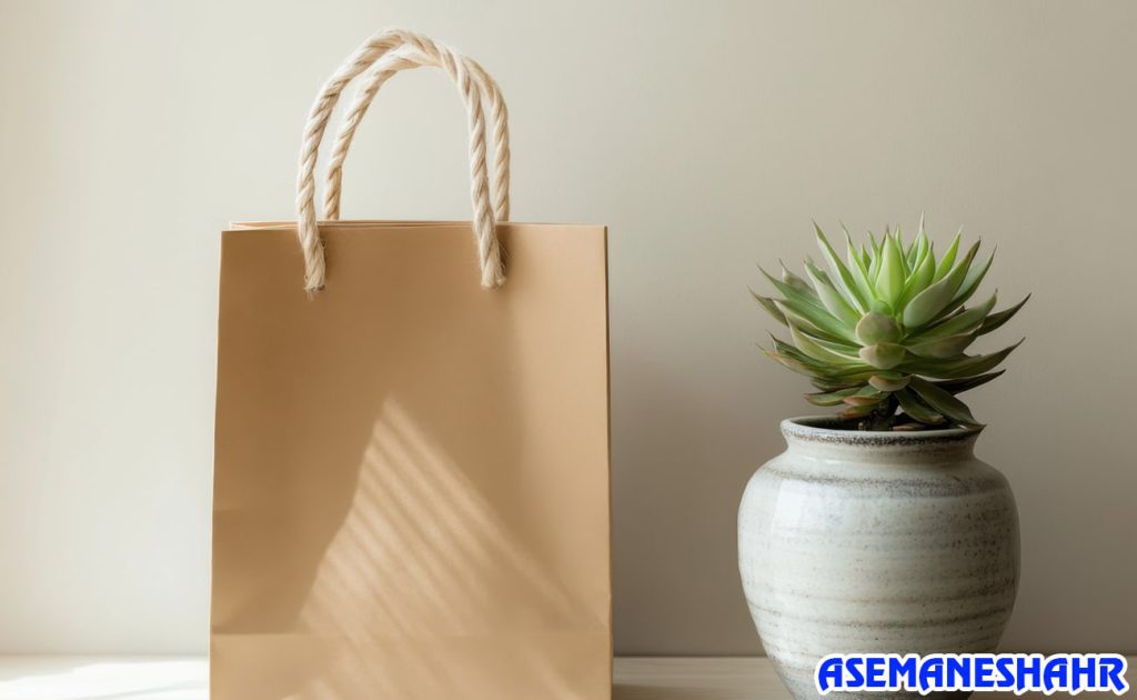 ساک دستی کاغذی کرافت با دسته‌های طنابی کنار گلدان ساکولنت | انتخابی ساده و شیک برای هدیه و تبلیغات با پس‌ زمینه روشن.