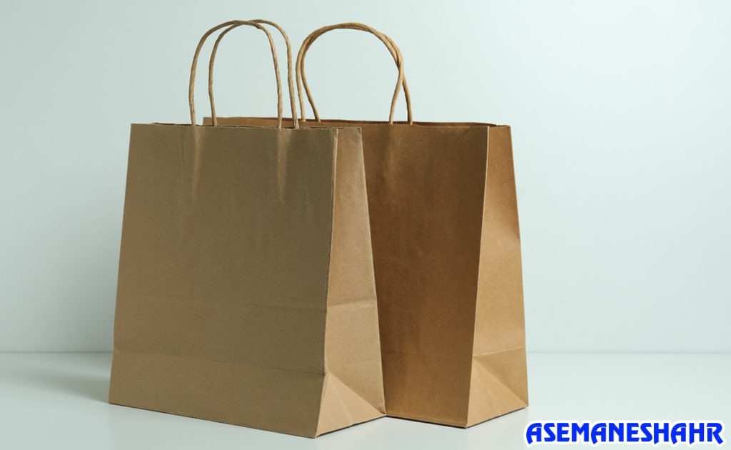دو ساک دستی کرافت زیست‌ محیطی با دسته پیچ خورده روی زمینه سفید | انتخابی مناسب برای کادو و خرید سبز.