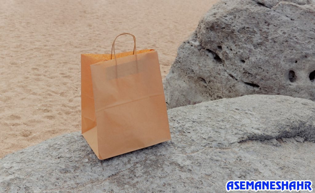 ساک دستی کرافت روی صخره ای کنار ساحل | انتخابی طبیعی و سازگار با محیط زیست برای بسته‌ بندی هدایا.