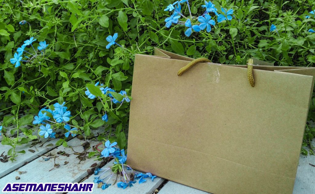 پاکت هدیه کرافت با بند کنفی، قرار گرفته میان گل‌های آبی | مناسب بسته‌ بندی دوستدار محیط زیست.